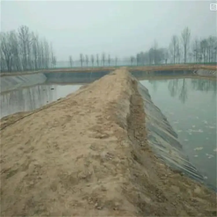 鱼塘养殖防渗膜
